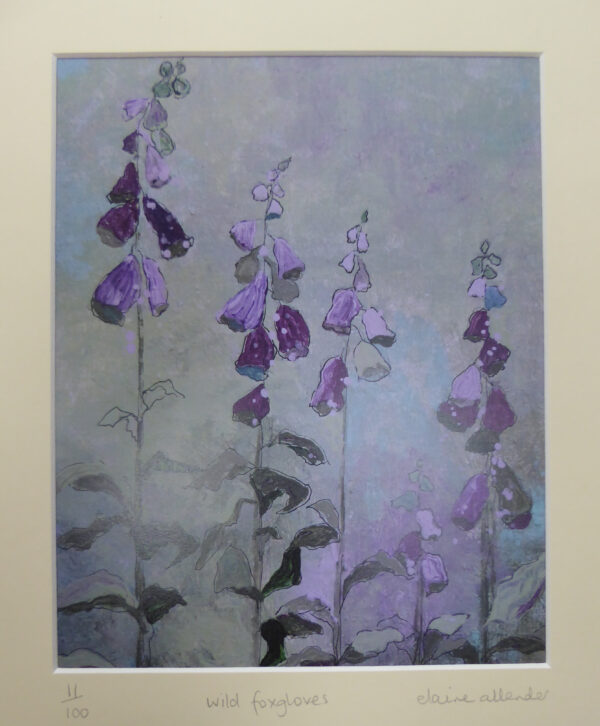 Wild Foxgloves